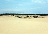 Jocky Ridge Dunes 2012